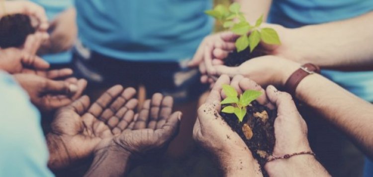 المناطقية: من أسوأ الأمراض الاجتماعية وأكثرها تخلفا، وتضخما للذات المريضة.