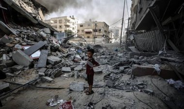 حرب الانتقام في غزة لن تحقق الأمن لنا