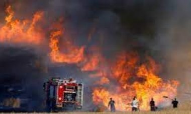 حرائق غير مسبوقة تشتعل في فلسطين المحتلة وتلتهم دبابات الاحتلال الصهيوني