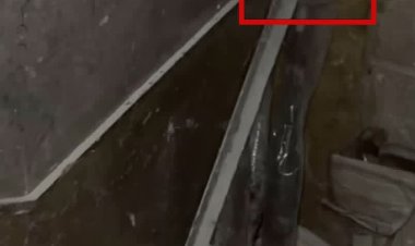 تعمل ميليشيا_قسد إلى تفخيخ كلّ ما يمكن تفخيخه ، بما في ذلك القرآن_الكريم. الصورة من أحد الجوامع في الحيّ