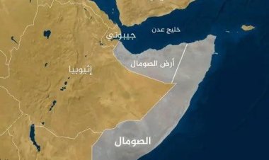 الحكومة الصومالية:   إلغاء جميع الاتفاقيات المبرمة مع الإمارات بما فيها التعاون الأمني والدفاعي