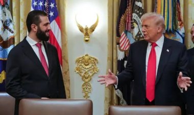 اتصال مطوّل بين الرئيس أحمد الشرع وترامب يؤكد وحدة سوريا ودعم الإعمار