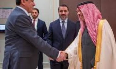 لقاء ميونخ يثير الجدل: الشيباني ونظيره السعودي بحضور عبدي وإلهام أحمد وسط تساؤلات حول التمثيل السوري